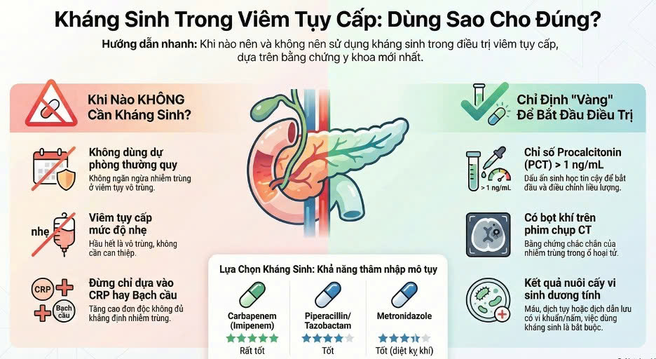 CẬP NHẬT VAI TRÒ CỦA KHÁNG SINH TRONG ĐIỀU TRỊ VIÊM TỤY CẤP: BẰNG CHỨNG HIỆN TẠI VÀ KHUYẾN CÁO THỰC HÀNH LÂM SÀNG